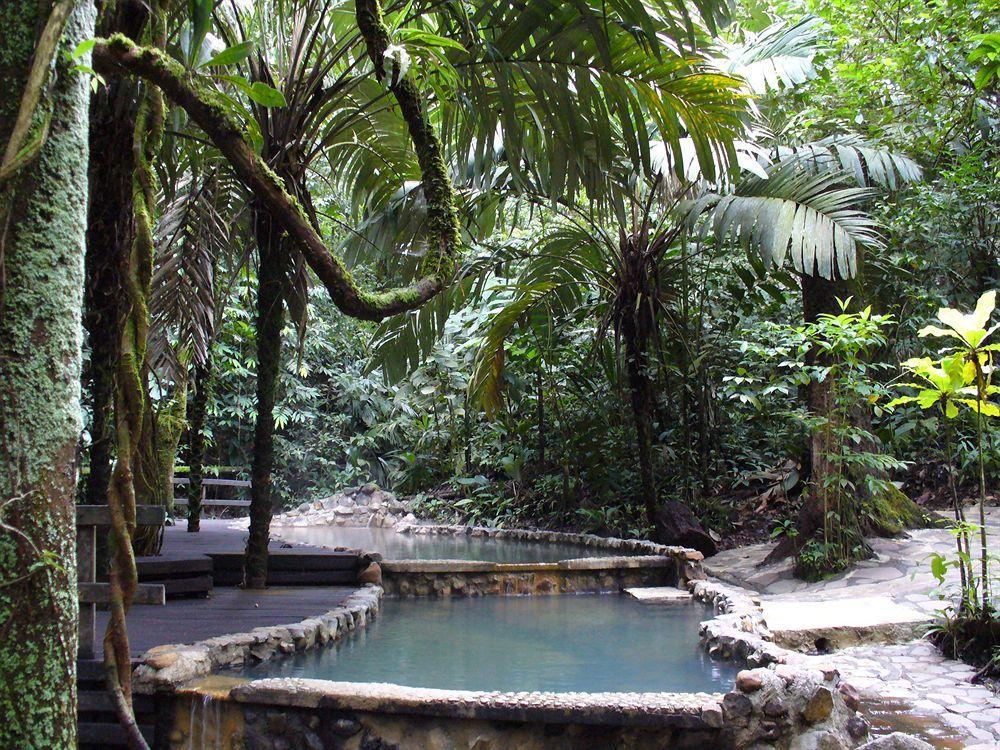 Отель Termales Del Bosque & Hot Springs Ла-Марина Экстерьер фото