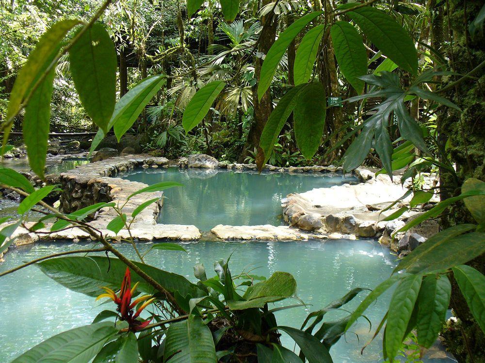 Отель Termales Del Bosque & Hot Springs Ла-Марина Экстерьер фото