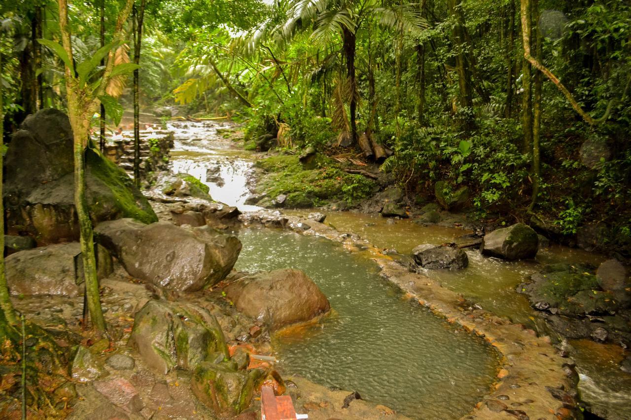 Отель Termales Del Bosque & Hot Springs Ла-Марина Экстерьер фото