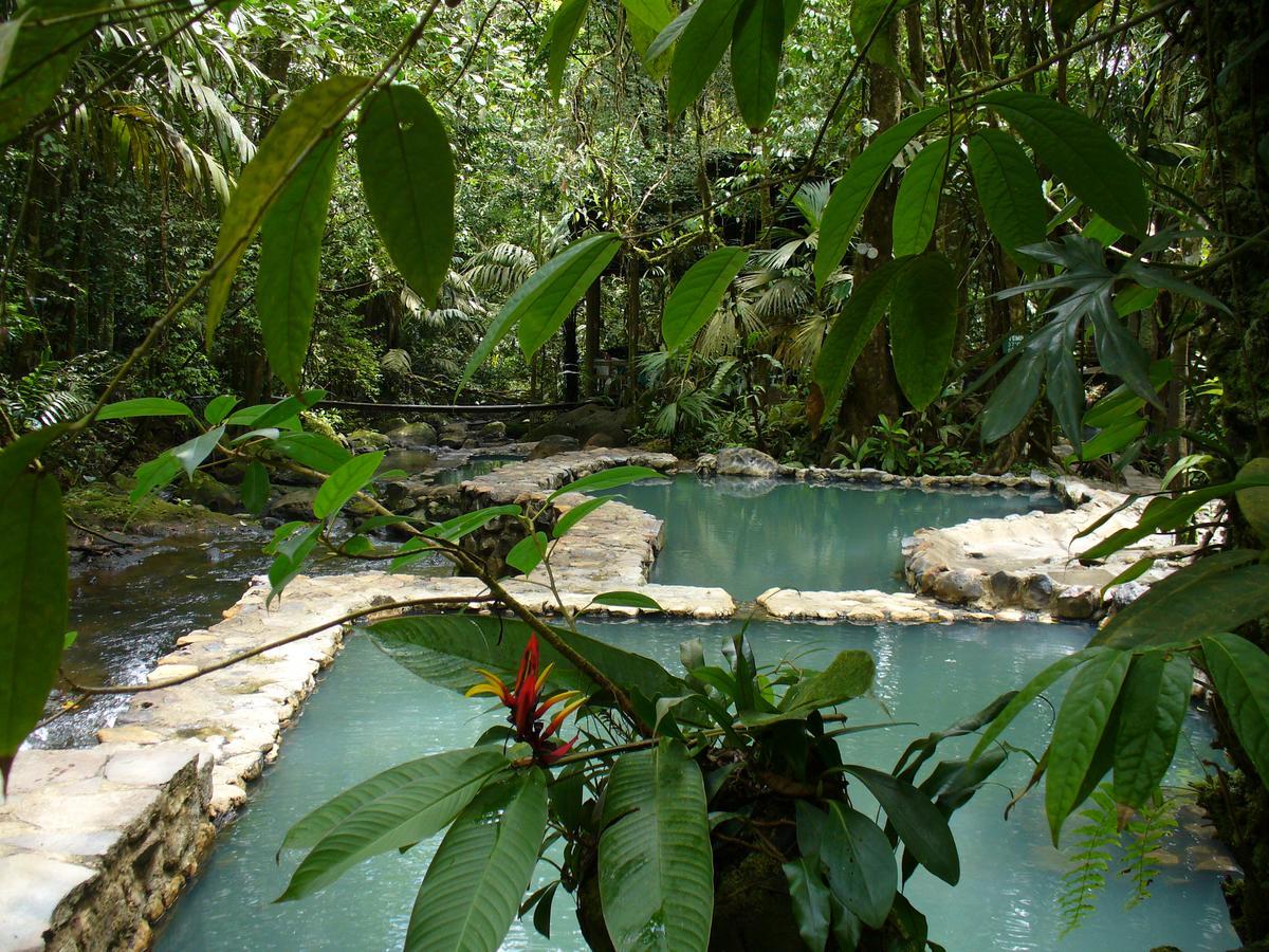 Отель Termales Del Bosque & Hot Springs Ла-Марина Экстерьер фото