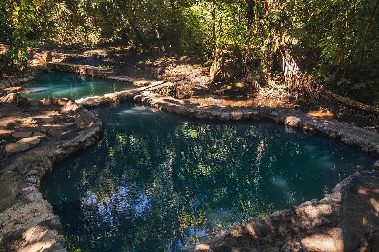 Отель Termales Del Bosque & Hot Springs Ла-Марина Экстерьер фото