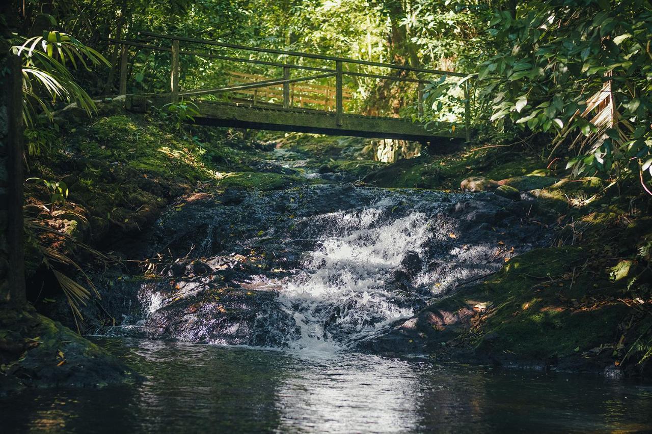 Отель Termales Del Bosque & Hot Springs Ла-Марина Экстерьер фото