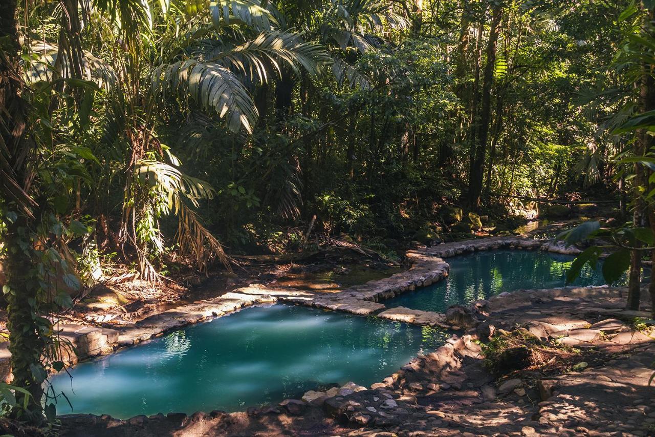 Отель Termales Del Bosque & Hot Springs Ла-Марина Экстерьер фото